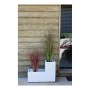 Plant pot EDA White Plastic 5 cm by EDA, Flower Pots - Ref: S7106128, Price: 36,82 €, Discount: %