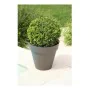 Plant pot Riviera 414076 Circular Grey Plastic by Riviera, Flower Pots - Ref: S7106181, Price: 28,02 €, Discount: %