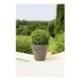 Pot Riviera 414076 Rond Gris Plastique de Riviera, Pots de fleurs - Réf : S7106181, Prix : 26,91 €, Remise : %