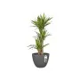 Blumentopf Elho Anthrazit Ø 39 cm Kunststoff rund von Elho, Töpfe - Ref: S7106274, Preis: 65,44 €, Rabatt: %