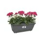 Plant pot Elho barcelona xl allin1 55cm Black Anthracite polypropylene Plastic Rectangular 33,5 x 54,5 x 23 cm by Elho, Flowe...