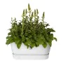 Vaso Elho Terrase 80 Wheels 35 x 78 x 34 cm Branco de Elho, Vasos para flores - Ref: S7106354, Preço: 75,87 €, Desconto: %