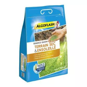 Graines Algoflash Semsol3 Pelouse méditerranéen 3 Kg de Algoflash, Graminées - Réf : S7106368, Prix : 53,97 €, Remise : %