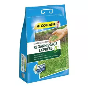 Graines Algoflash Express Pelouse 3 Kg de Algoflash, Graminées - Réf : S7106371, Prix : 53,71 €, Remise : %