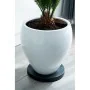 Flowerpot Standt with Wheels Nature Black polypropylene (Ø 29,2 x 4 cm) by Nature, Accessories - Ref: S7109331, Price: 29,25 ...