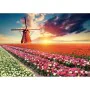 Puzzle Educa Fields of Tulips 18465 1500 Pieces by Educa, Jigsaws - Ref: S7123613, Price: 32,59 €, Discount: %