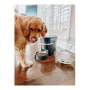 Automatic feeder PetSafe Black Stainless steel by PetSafe, Automatic feeders - Ref: S7140214, Price: 206,67 €, Discount: %