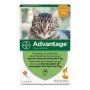 Antiparasitas Advantage Gato Coelho 1-4 Kg 0,4 ml 6 Unidades de Advantage, Antiparasitas - Ref: S7140473, Preço: 41,77 €, Des...