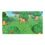 Videospiel für Switch Nintendo Animal Crossing: New Horizons von Nintendo, Zubehör-Sets - Ref: S7148173, Preis: 81,38 €, Raba...