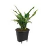 Plant pot Elho Black polypropylene Circular Modern Ø 21 cm 21 cm by Elho, Flower Pots - Ref: S7148969, Price: 25,75 €, Discou...