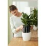 Self-watering flowerpot Elho Insert 28 Black Plastic 27,7 x 27,7 x 25,5 cm by Elho, Flower Pots - Ref: S7148971, Price: 32,14...