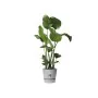 Vaso Elho Greenville Ø 24,48 cm Plástico de Elho, Vasos para flores - Ref: S7148979, Preço: 30,61 €, Desconto: %