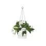 Vaso Suspenso Elho Greenville Branco Plástico Ø 23,9 x 20,3 cm de Elho, Vasos suspensos - Ref: S7148984, Preço: 32,72 €, Desc...