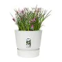 Vaso Elho Greenville Rotonda Bianco Plastica (Ø 29,5 x 27,8 cm) di Elho, Vasi tradizionali - Rif: S7148985, Prezzo: 37,45 €, ...