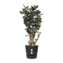 Pot Elho Greenville Noir Plastique Rond Ronde Ø 40 cm Ø 39 x 36,8 cm de Elho, Pots de fleurs - Réf : S7148988, Prix : 52,25 €...