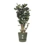 Pot Elho Greenville Ø 39 x 36,8 cm Vert de Elho, Pots de fleurs - Réf : S7148991, Prix : 54,04 €, Remise : %