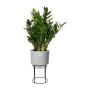 Vaso Elho Cinzento Plástico Com suporte Redonda (Ø 22 x 38,2 cm) de Elho, Vasos para flores - Ref: S7149038, Preço: 69,13 €, ...