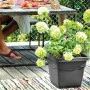 Pot Deroma Carré Anthracite Injecté Ø 38 cm de Deroma, Pots de fleurs - Réf : S7149179, Prix : 28,14 €, Remise : %