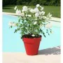 Plant pot Riviera Soleilla 60 x 54 cm Red Intense Circular Ø 60 x 53,6 cm by Riviera, Flower Pots - Ref: S7152071, Price: 45,...