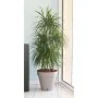 Plant pot Riviera Brown Taupe polypropylene Plastic Circular Ball Ø 50 cm by Riviera, Flower Pots - Ref: S7152082, Price: 53,...