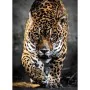 Puzzle Clementoni Walking Jaguar 39326 69 x 50 cm 1000 Stücke von Clementoni, Klassische Puzzles - Ref: S7157472, Preis: 26,8...