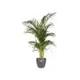 Pot Elho 5642322542500 Anthracite polypropylène Plastique Rond de Elho, Pots de fleurs - Réf : S7164803, Prix : 31,84 €, Remi...