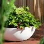 Pot Riviera Blanc Ø 40 cm de Riviera, Pots de fleurs - Réf : S7164858, Prix : 29,97 €, Remise : %