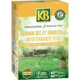 Graines KB Pelouse méditerranéen 1 kg 40 m² de KB, Graminées - Réf : S7166226, Prix : 28,18 €, Remise : %