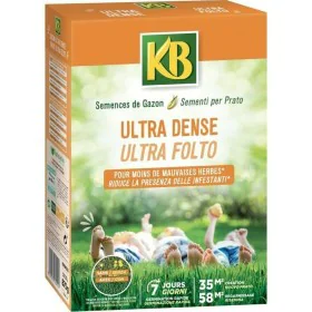 Semi KB Prato di KB, Vegetali - Rif: S7166229, Prezzo: 27,82 €, Sconto: %