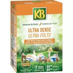 Graines KB Pelouse de KB, Légumes - Réf : S7166229, Prix : 26,91 €, Remise : %