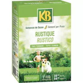 Semi KB Prato di KB, Vegetali - Rif: S7166230, Prezzo: 21,62 €, Sconto: %