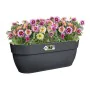 Maceta Elho Antracita 24 x 46 x 26,5 cm de Elho, Macetas para flores - Ref: S7167353, Precio: 30,00 €, Descuento: %