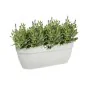 Hanging Planter Elho White Plastic 24 x 46 x 26,5 cm by Elho, Hanging Planters & Baskets - Ref: S7167356, Price: 29,19 €, Dis...