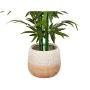 Planter Romimex Beige Ceramic 20 x 18 x 20 cm by Romimex, Cachepots - Ref: D1616894, Price: 18,79 €, Discount: %