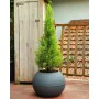 Vaso Riviera 814276 Cinzento Redondo Bol Ø 40 cm de Riviera, Vasos para flores - Ref: S7169332, Preço: 40,20 €, Desconto: %