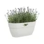 Vaso Elho 3662603645100 Branco Plástico Retangular Moderno 24 x 36 x 26,5 cm de Elho, Vasos para flores - Ref: S7170693, Preç...