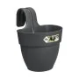 Pot Elho Vibia 24,1 x 20,5 x 26,5 cm Anthracite Plastique Rond Moderne 24 x 20,5 x 26,5 cm de Elho, Pots de fleurs - Réf : S7...