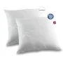 Set de 2 Almohadas Abeil (2 Unidades) de Abeil, Almohadas - Ref: S7171285, Precio: 32,17 €, Descuento: %