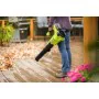 Souffleuse Ryobi de Ryobi, Souffleurs de feuilles - Réf : S7178091, Prix : 166,40 €, Remise : %