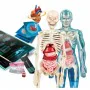 Juego de Ciencia Clementoni Anatomy de Clementoni, Ciencias - Ref: S7179845, Precio: 35,51 €, Descuento: %