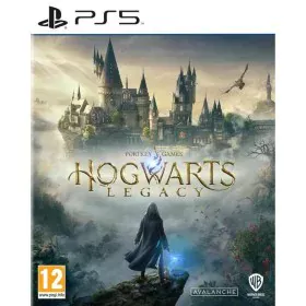 Videogioco PlayStation 5 Warner Games Hogwarts Legacy: The legacy of Hogwarts di Warner Games, Set accessori - Rif: S7185679,...