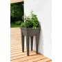 Plantador EDA Vegetais Mesa de Cultivo 38,5 x 38,5 x 68 cm de EDA, Vasos - Ref: S7186063, Preço: 34,51 €, Desconto: %