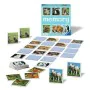 Educational Game Ravensburger 020879 by Ravensburger, Board Games - Ref: S7186605, Price: 31,05 €, Discount: %