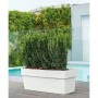 Planter Deroma Like R White by Deroma, Cachepots - Ref: S7186793, Price: 69,03 €, Discount: %