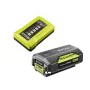 Chargeur de batterie Ryobi 36 V de Ryobi, Chargeurs - Réf : S7188140, Prix : 221,66 €, Remise : %