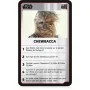 Juego de Mesa Star Wars de Star Wars, Juegos con fichas - Ref: S7188344, Precio: 30,14 €, Descuento: %