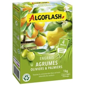 Fertilizante para plantas Algoflash Naturasol Olivo Palmera Cítricos 1 kg de Algoflash, Fertilizantes multiusos - Ref: S71884...