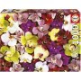 Puzzle Educa Orchidée 1000 Pièces de Educa, Puzzles classiques - Réf : S7188714, Prix : 28,56 €, Remise : %