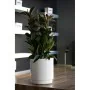 Vaso Plastiken Branco Plástico Quadrado Ø 38 cm de Plastiken, Vasos para flores - Ref: S7189238, Preço: 60,17 €, Desconto: %