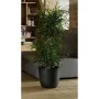 Maceta EDA Opal Chape Negro Ø 29,5 cm de EDA, Macetas para flores - Ref: S7189405, Precio: 29,38 €, Descuento: %